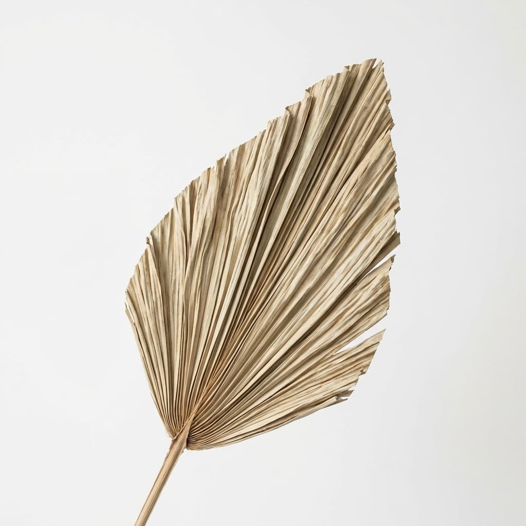 Dried Palm Spear